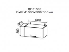 Шкаф верхний ДПГ500 горизонтальный в Екатеринбурге - evalinemebel.ru | фото